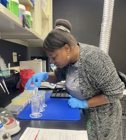Patience Ferguson evaluates neuroinflammation samples in lab.