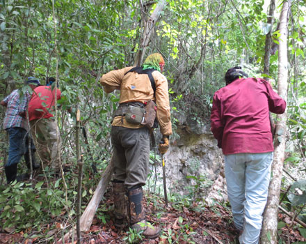 Leila and Colleagues in the Jungle