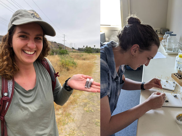 Sierra Teemsma Working In The Lab